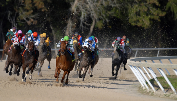 Top 10 Ultimate Horse Races in the World