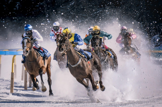 Horse Derby Betting: Profiting Insights