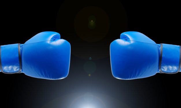 What are the Best Boxing Gloves?