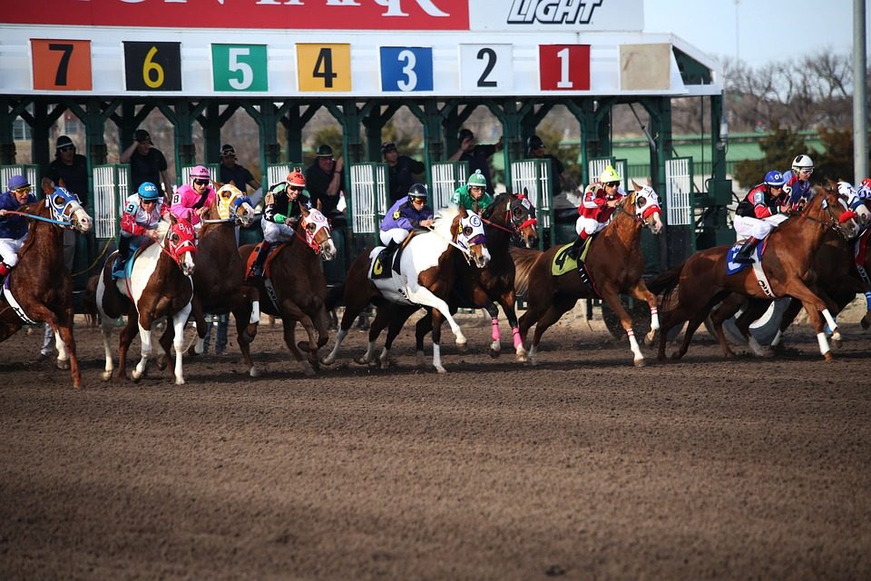 Top Thoroughbred Racetracks in Florida and Tips for your First Thoroughbred Experience