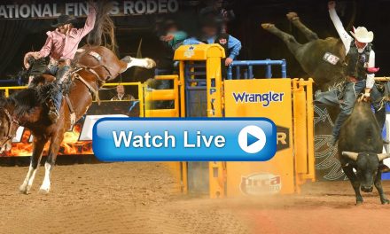 How To Watch 2019 National Finals Rodeo Live Stream Online Free