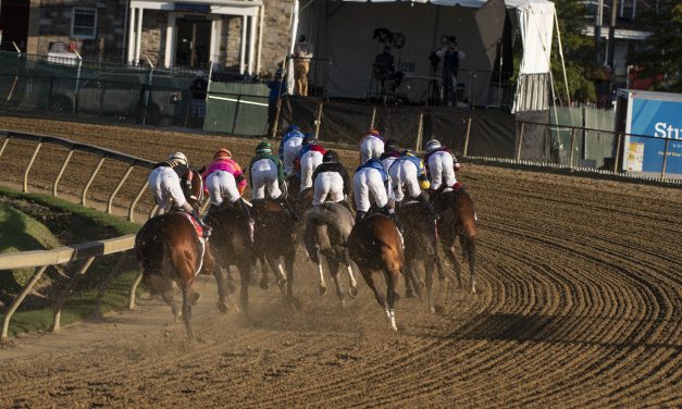 Planning for Horse Race Bets: Rules that you have to Follow