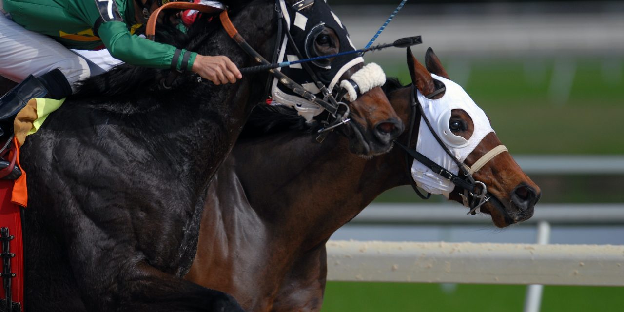 Four Intriguing Long Shots Who Could Challenge for the Kentucky Derby
