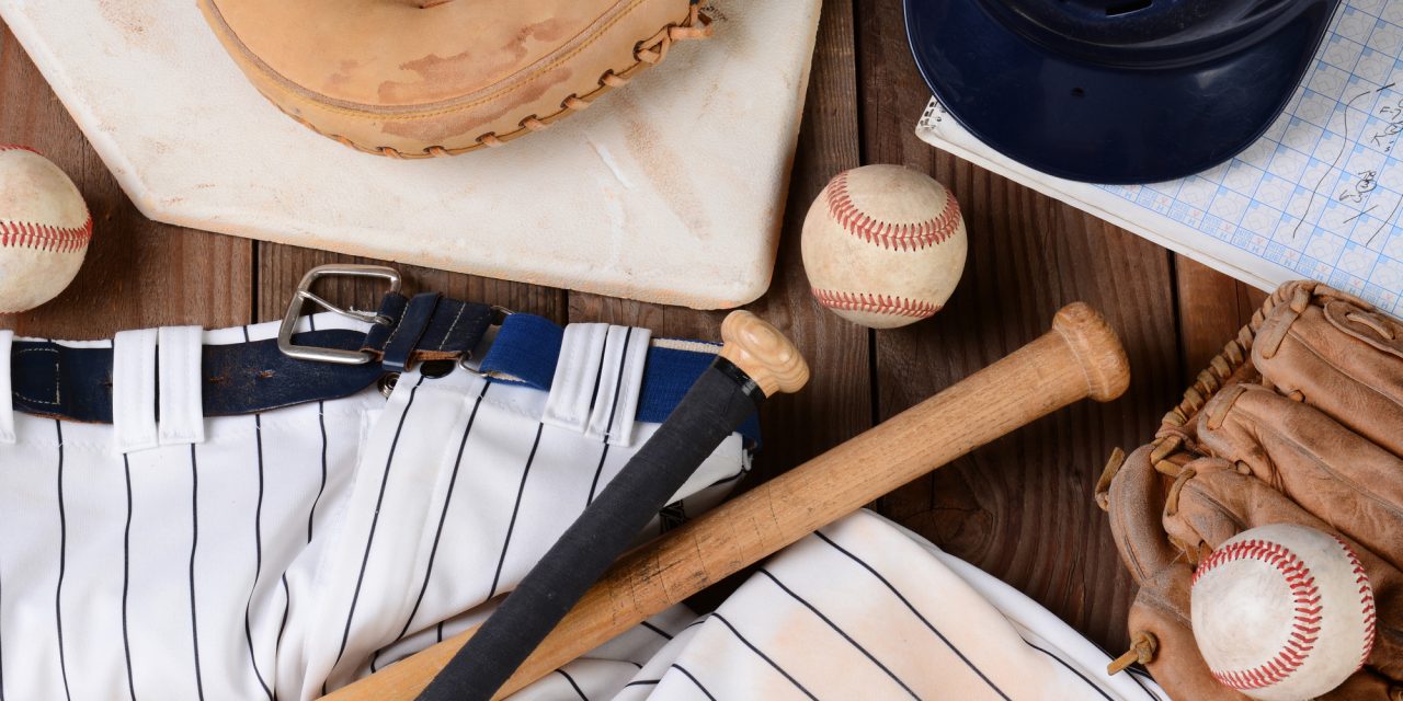 6 of the Best Baseball Equipment Bags
