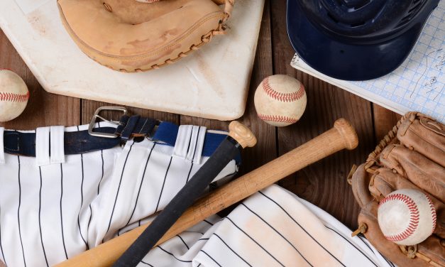 6 of the Best Baseball Equipment Bags